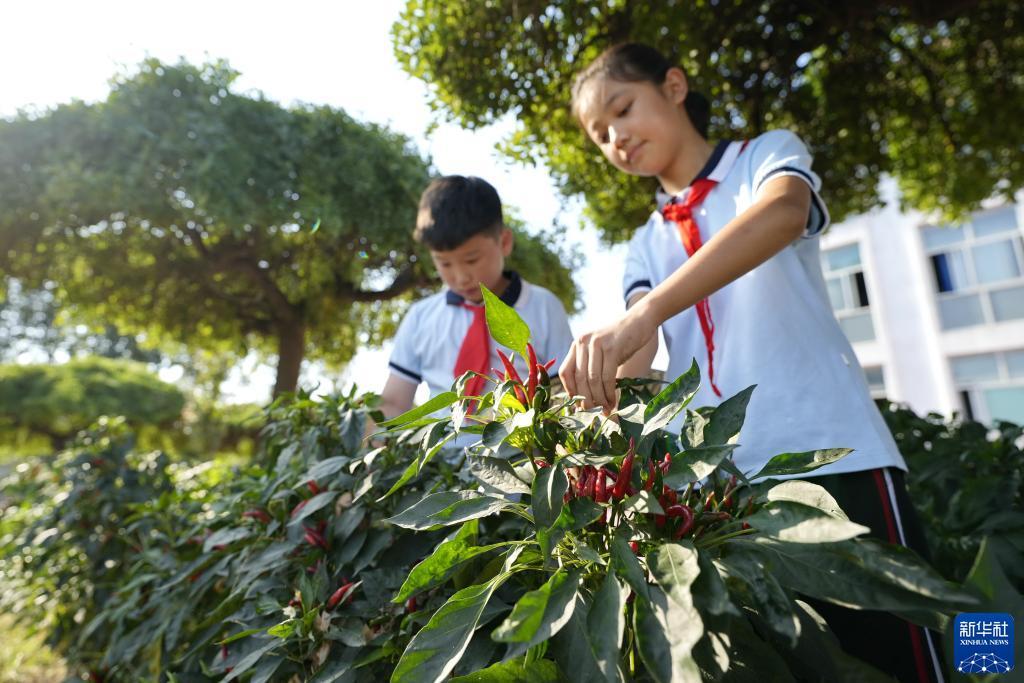 波克捕鱼下载